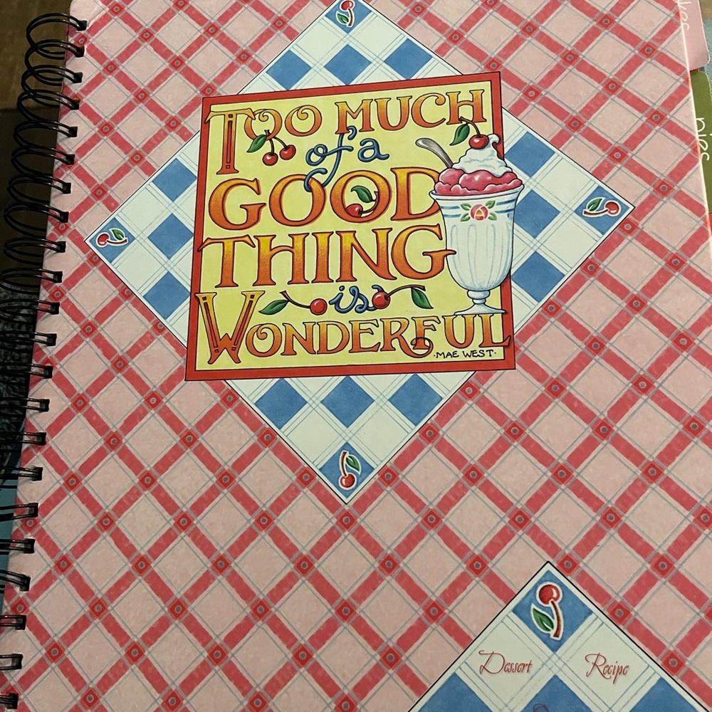 Mary Engelbreit Pink and Blue Checkered Recipe Keeper